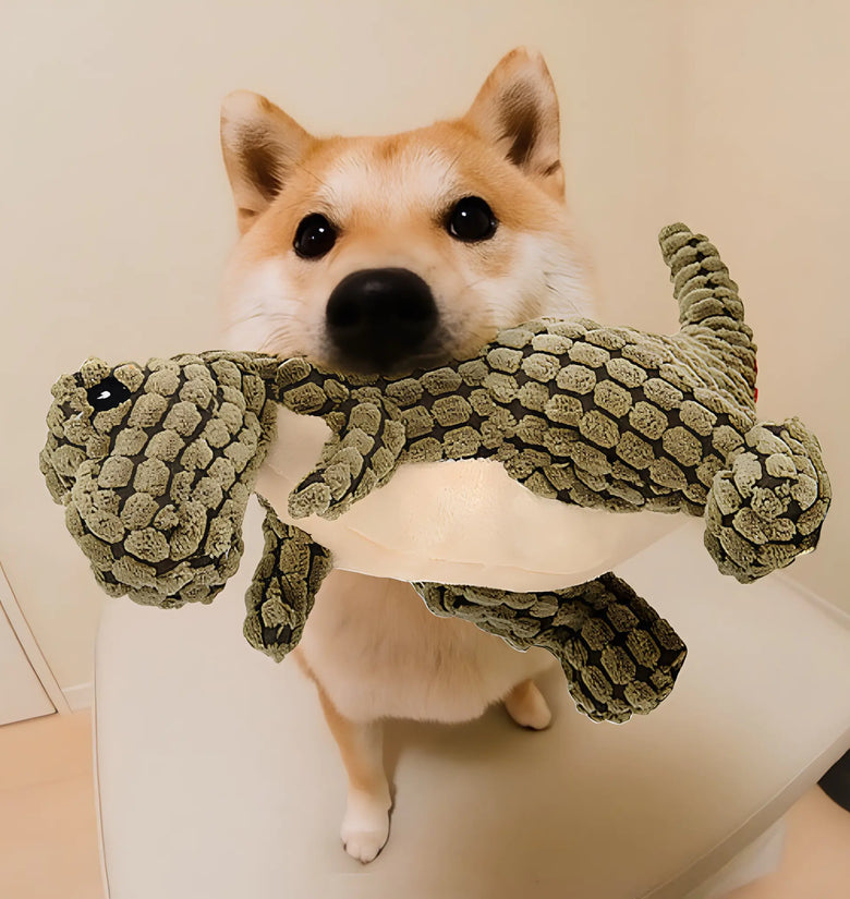 Dinobite - The plush toy for your dog