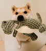 Dinobite - The plush toy for your dog