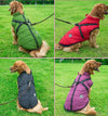 Winter Dog Jacket: Arctic Pup Protector