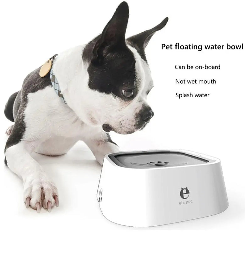 Drinking Water Bowl For Dogs