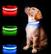 Luminous AirTag Collar For Pet Dogs