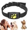 Pet GPS Tracker Collar