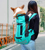 Paws & Go Dog Carrier: Stylish and Portable Dog Carrier